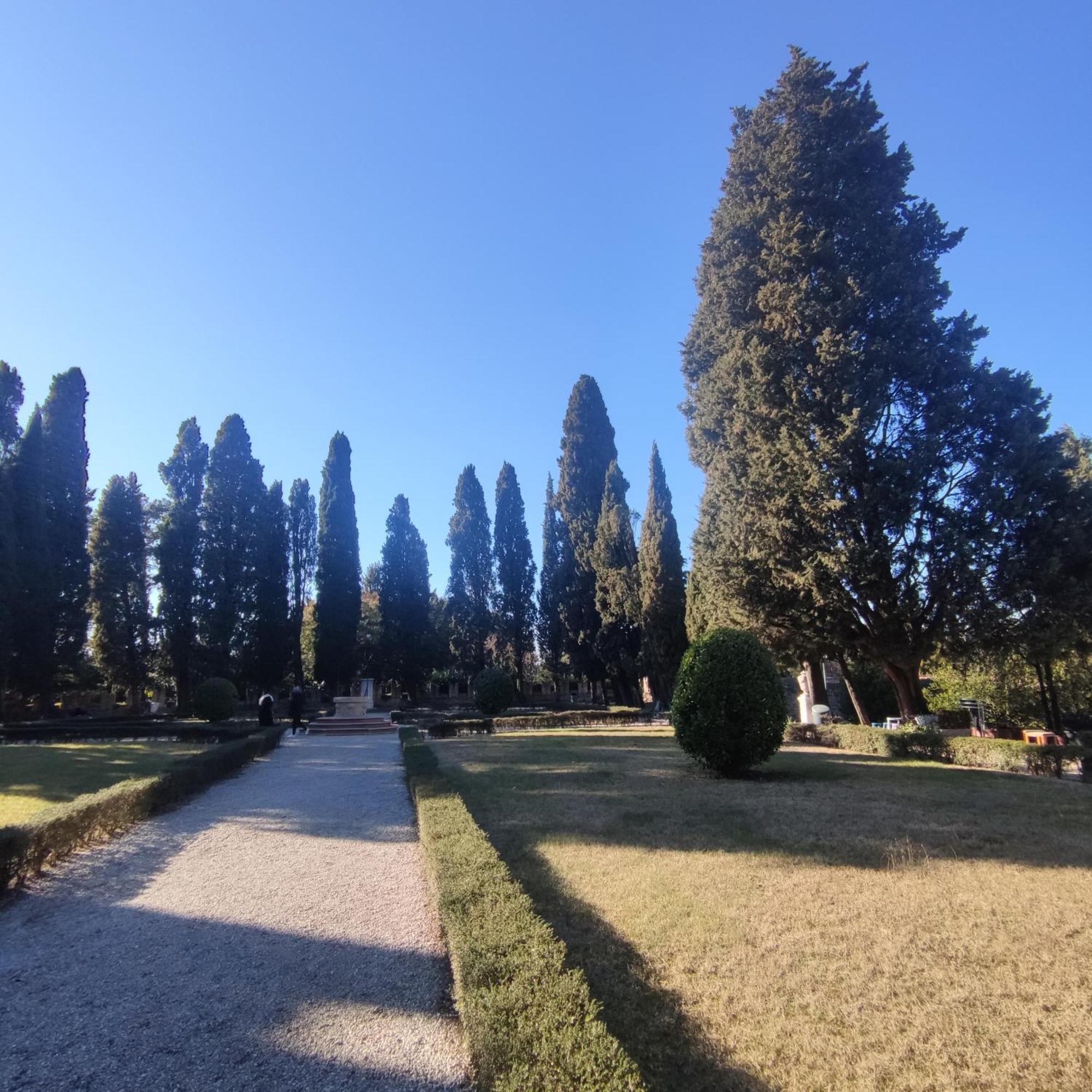 Bbconegliano Borlini Daire Dış mekan fotoğraf